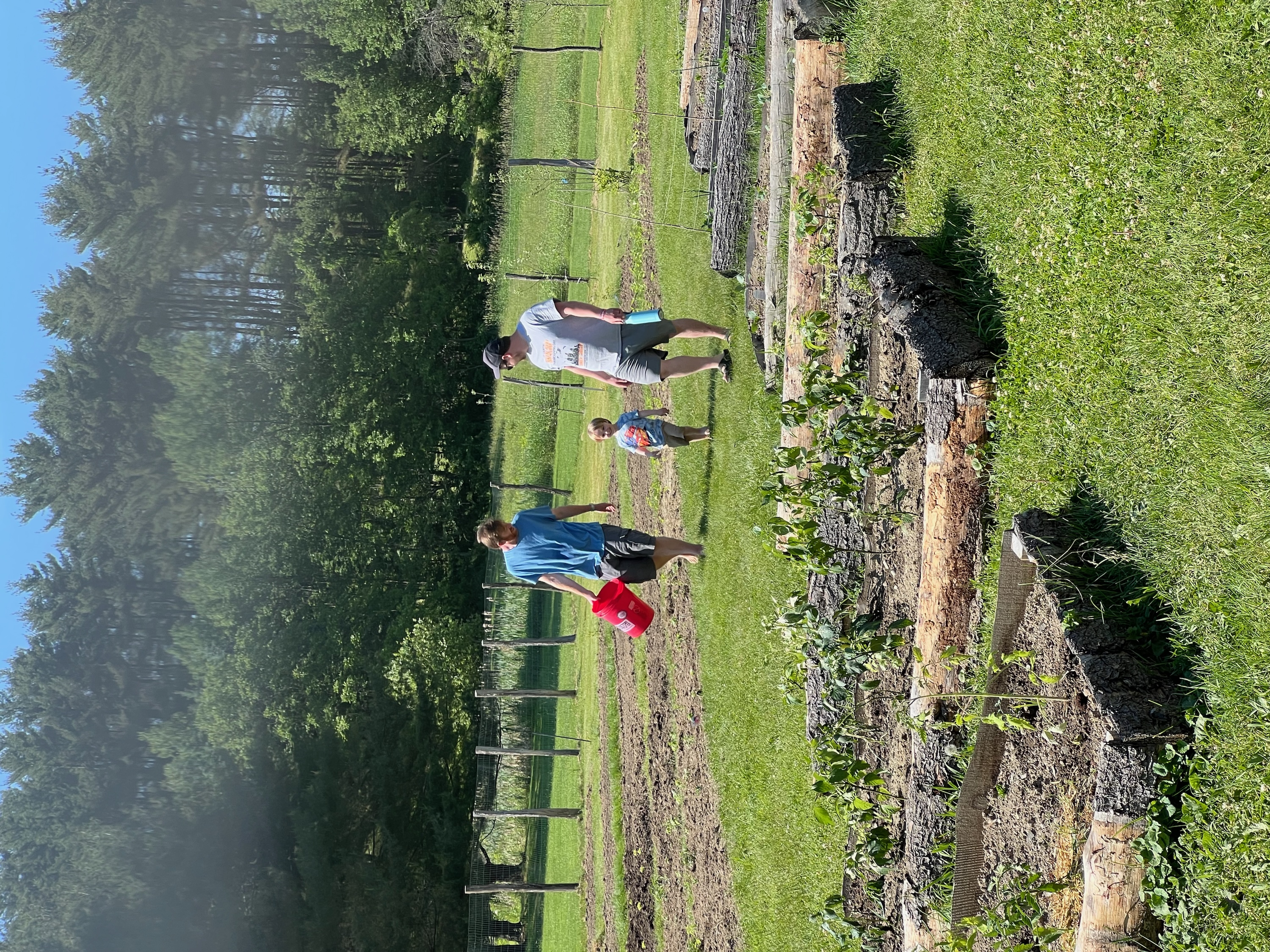 Photo from the Hoosick Community Garden