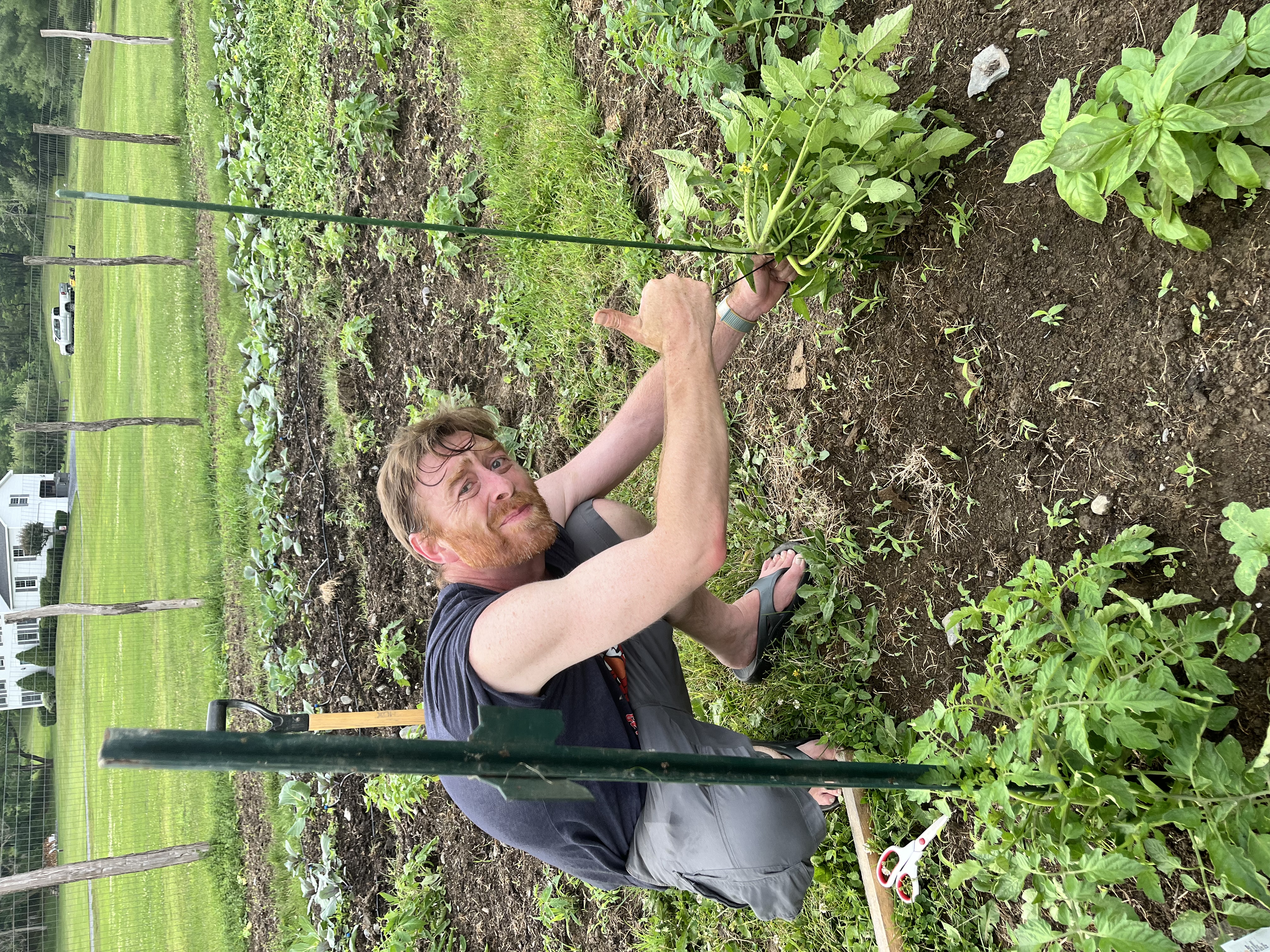 Photo from Hoosick Community Garden