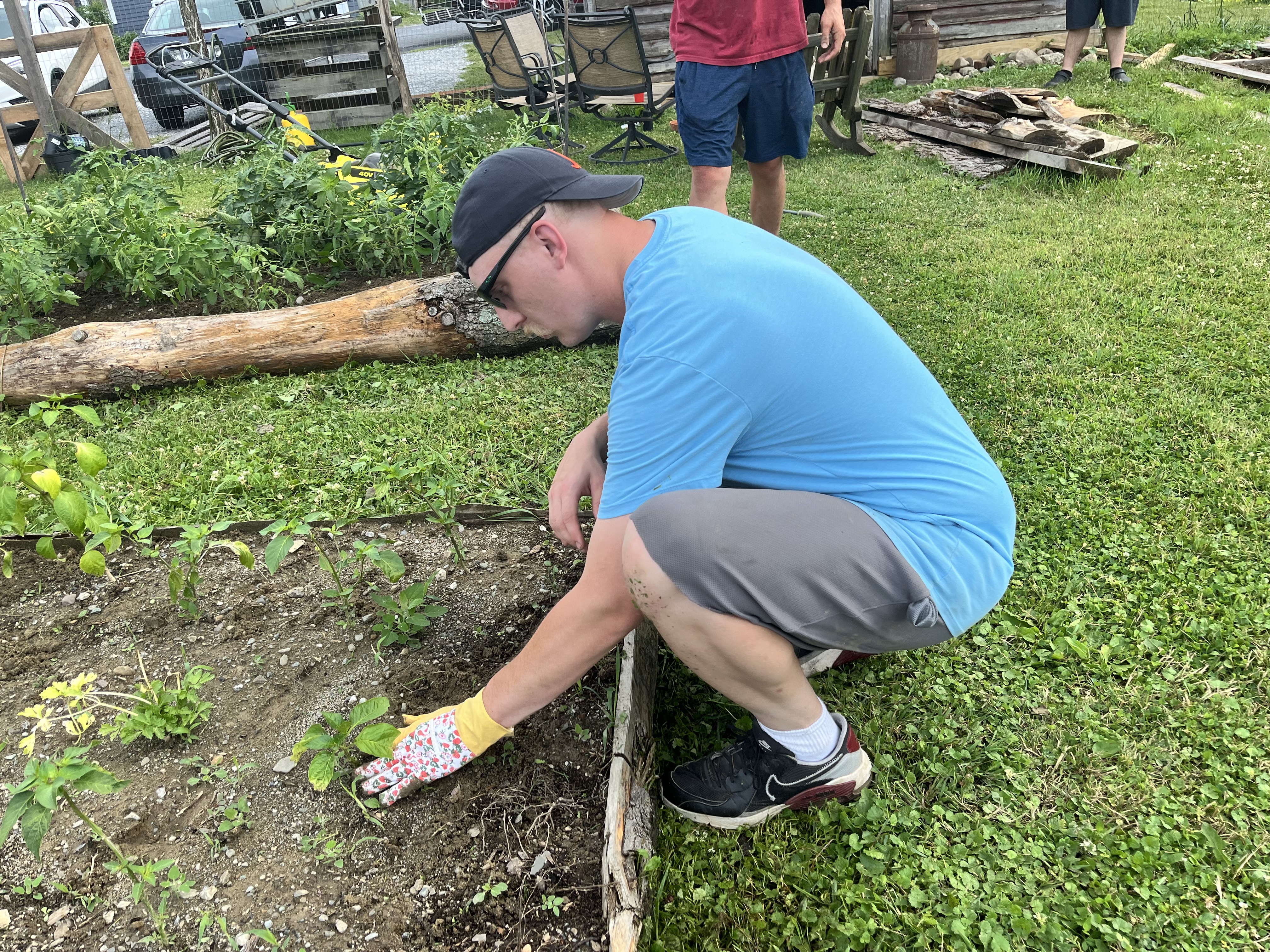 Photo from Hoosick Community Garden