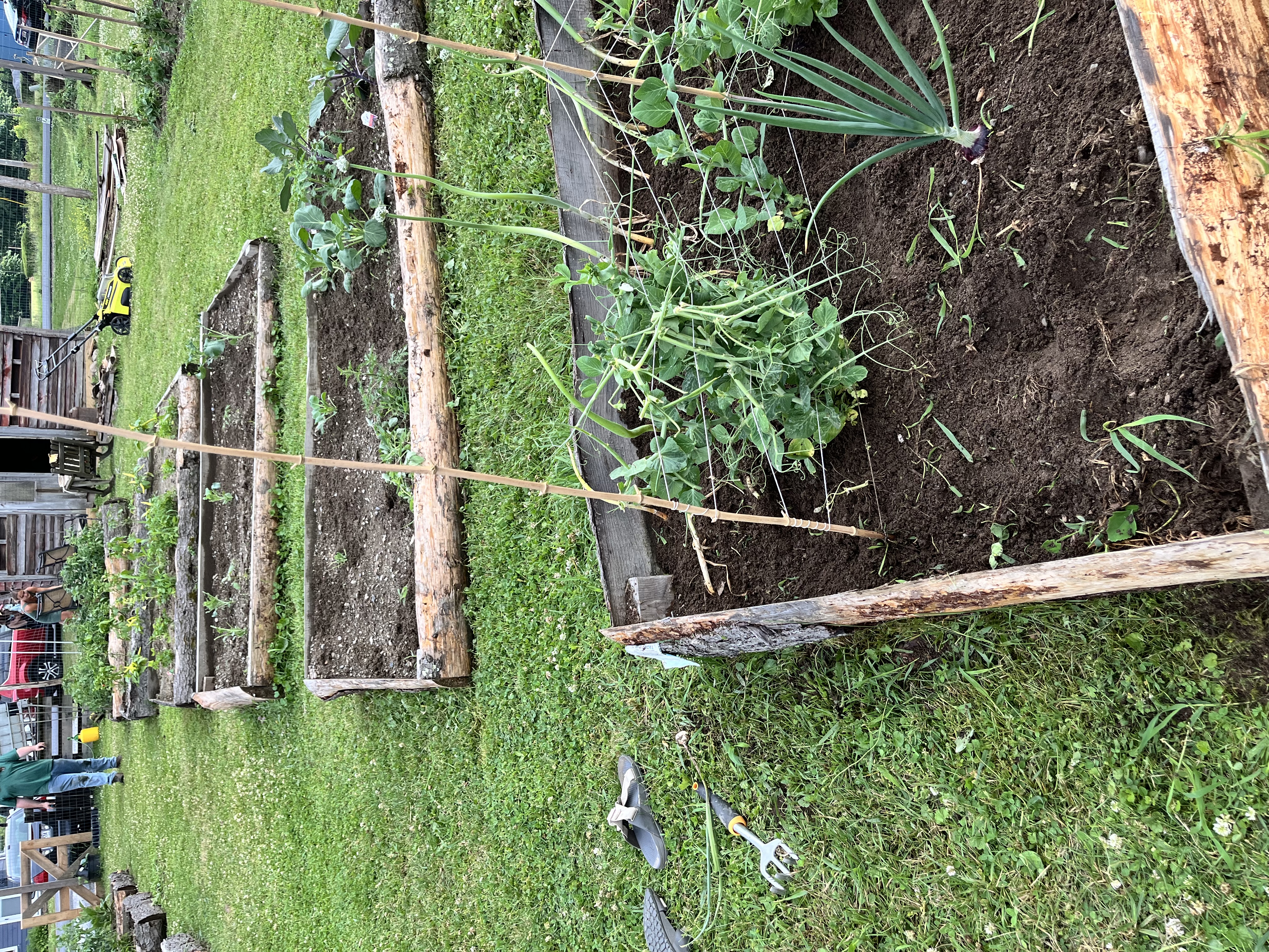 Photo from the Hoosick Community Garden
