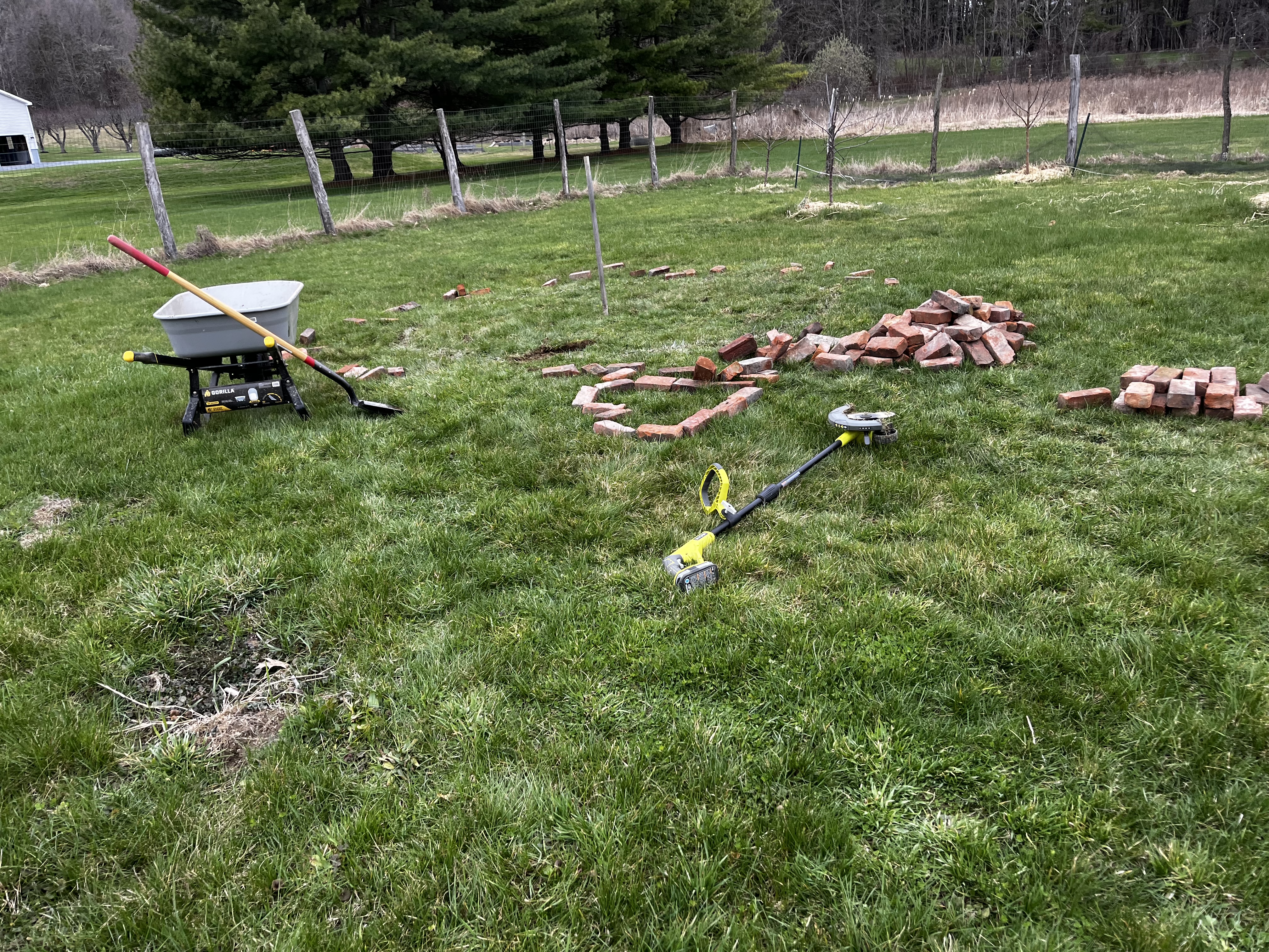 Photo from the Hoosick Community Garden