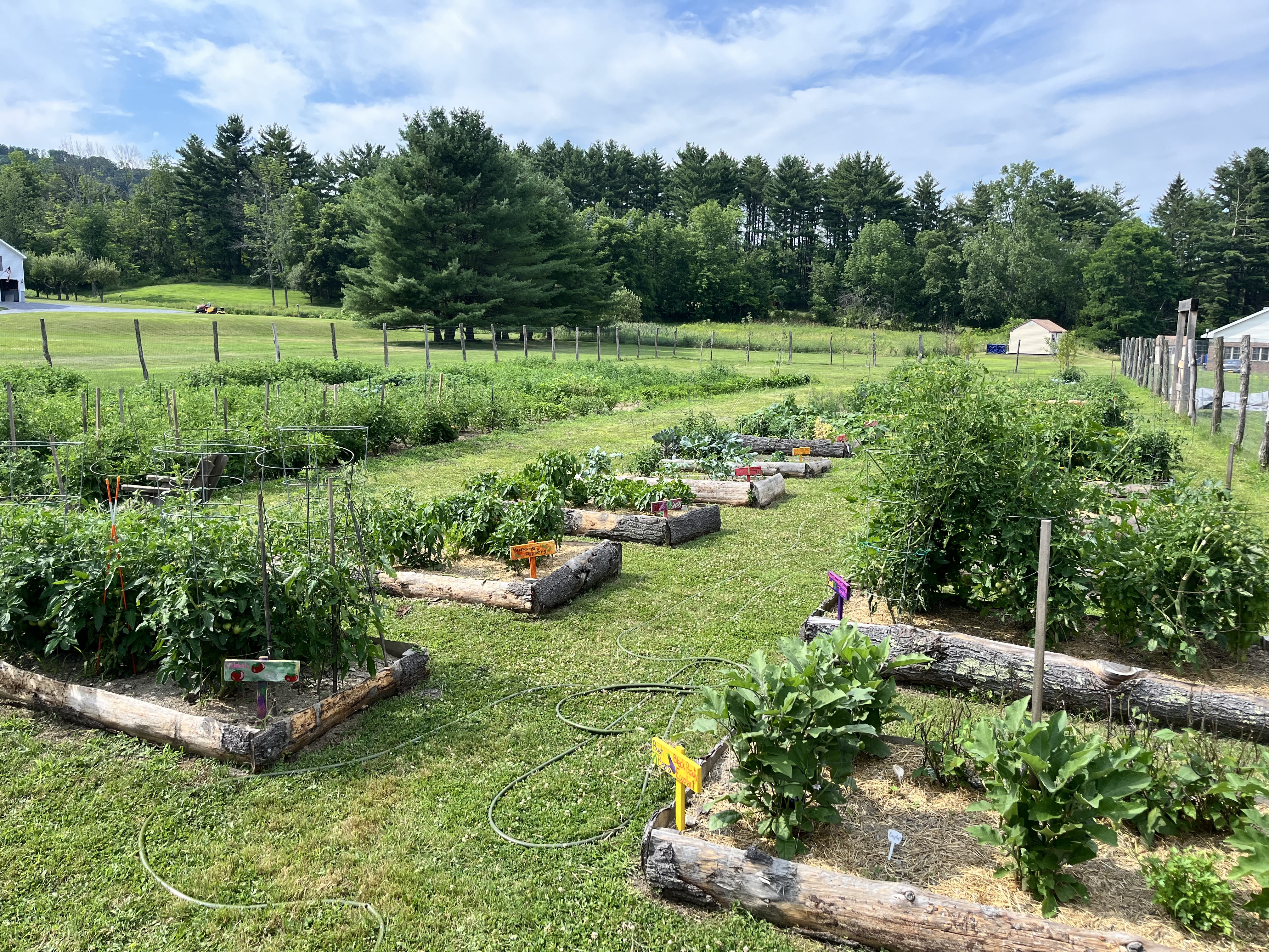 Photo from Hoosick Community Garden