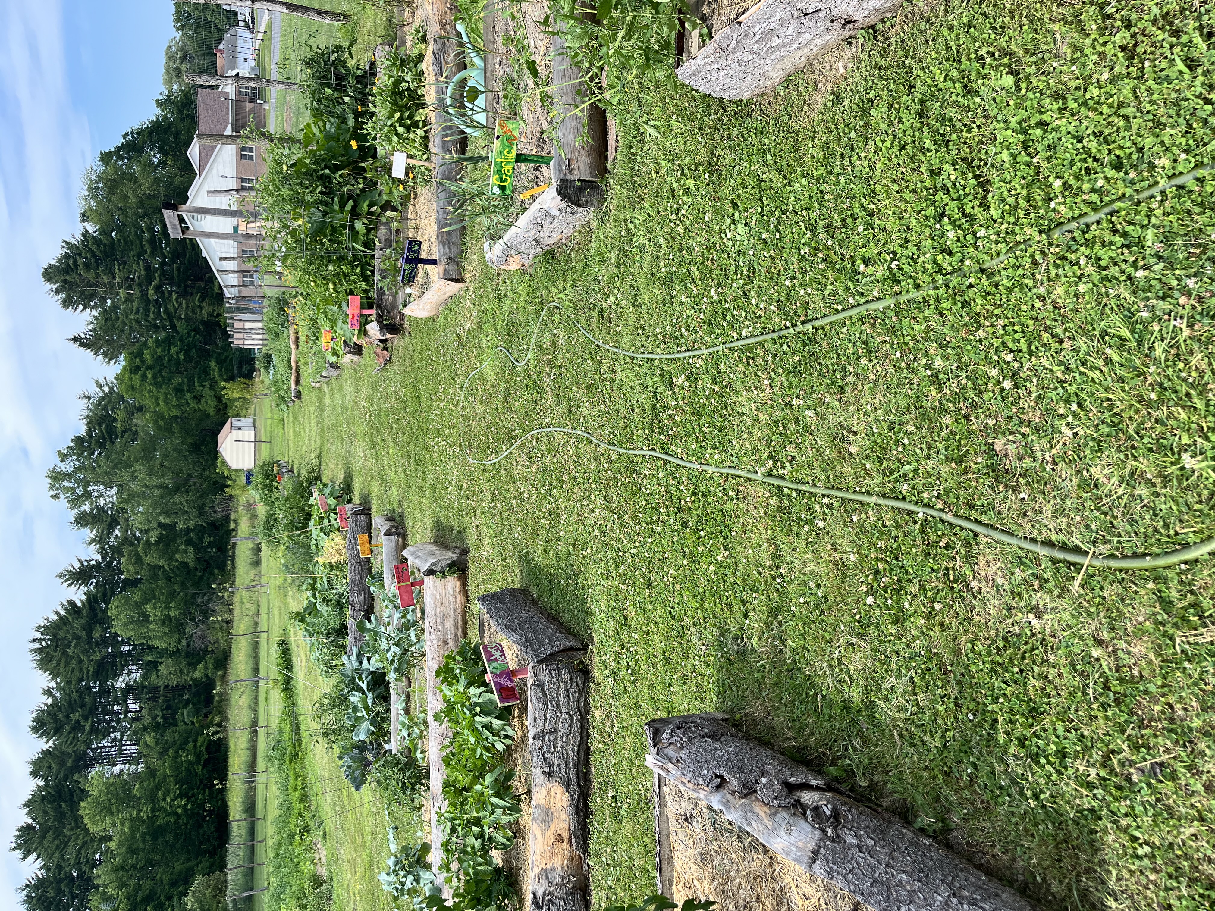 Photo from Hoosick Community Garden