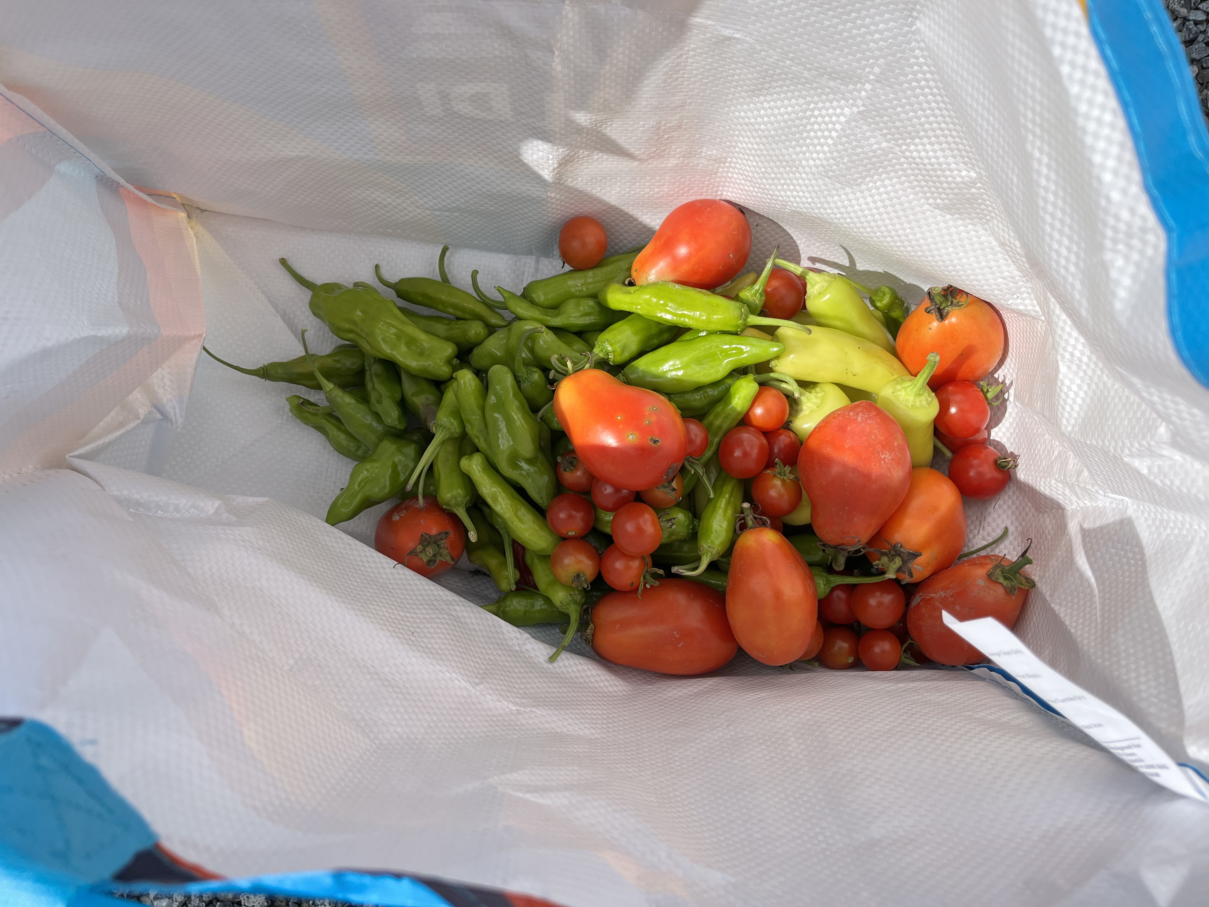 Photo from the Hoosick Community Garden