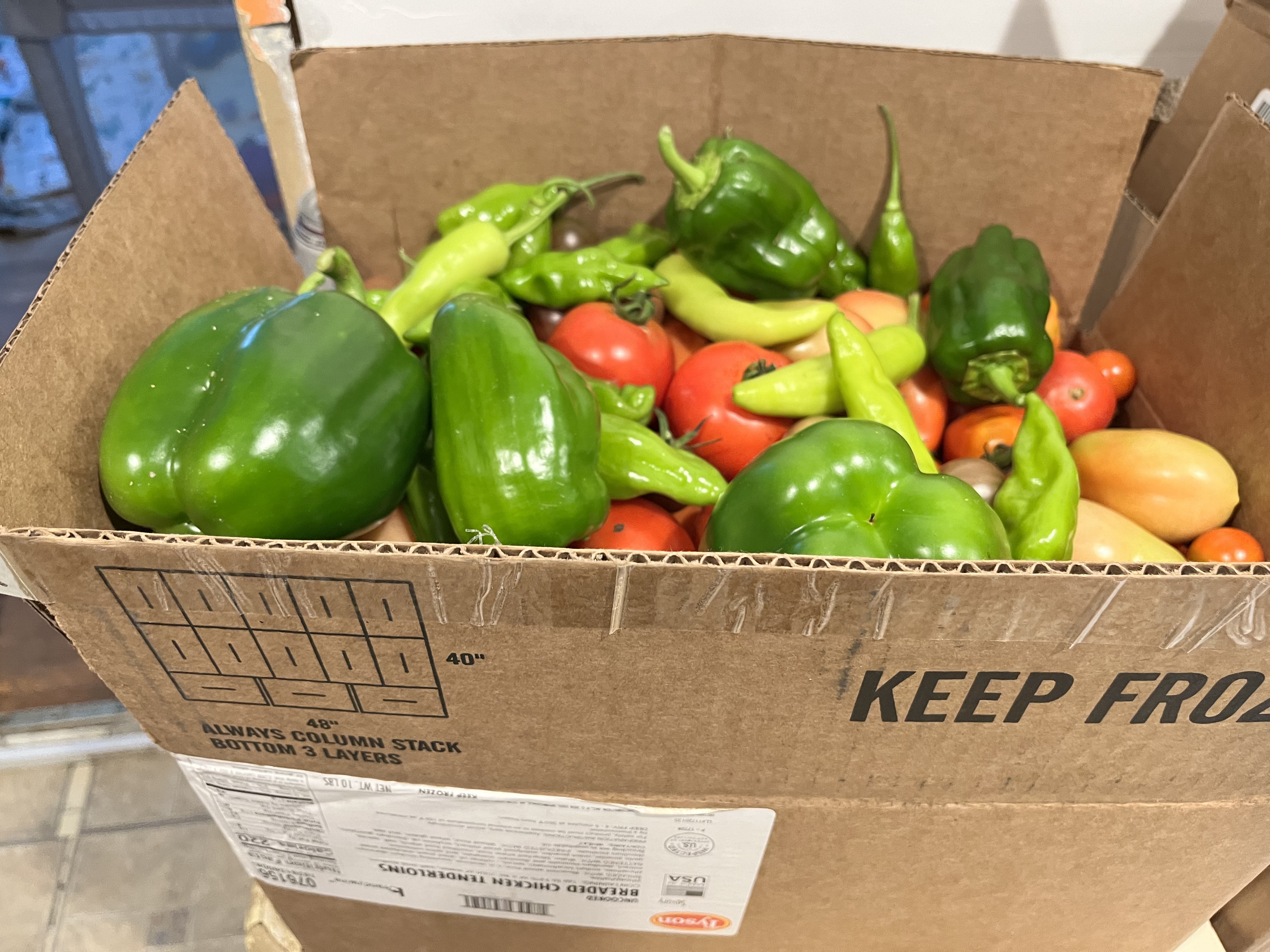 Photo from the Hoosick Community Garden
